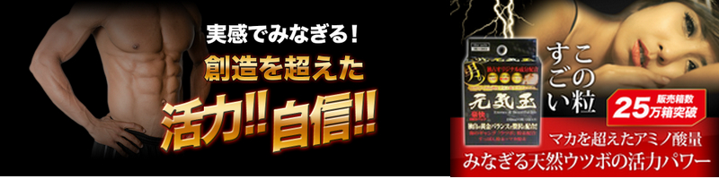 �V�R�E�c�{�p���[�Ŋ��͕�������y���C�ʁz���T�C�g